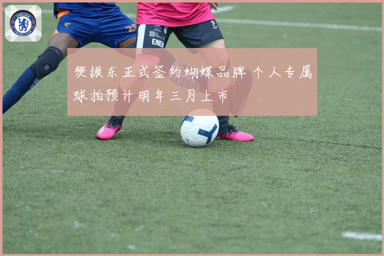 樊振东正式签约蝴蝶品牌 个人专属球拍预计明年三月上市