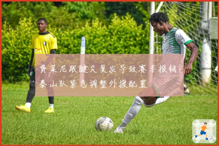 费莱尼跟腱炎复发导致赛季报销,泰山队紧急调整外援配置