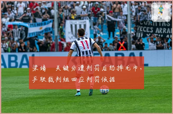 梁靖崑关键分遭判罚后怒摔毛巾,乒联裁判组回应判罚依据