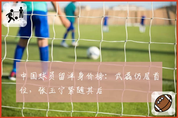 中国球员留洋身价榜:武磊仍居首位,张玉宁紧随其后