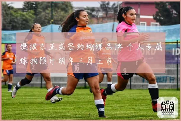 樊振东正式签约蝴蝶品牌 个人专属球拍预计明年三月上市