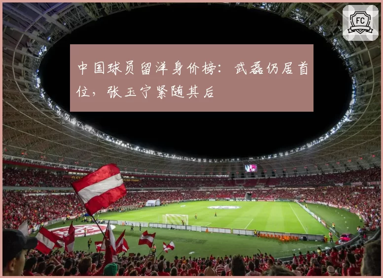中国球员留洋身价榜:武磊仍居首位,张玉宁紧随其后