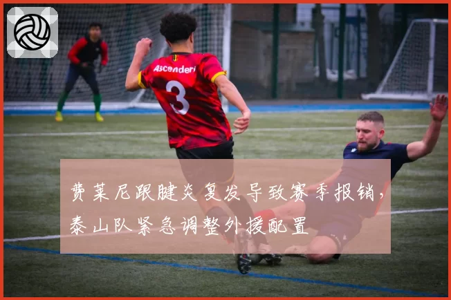费莱尼跟腱炎复发导致赛季报销,泰山队紧急调整外援配置