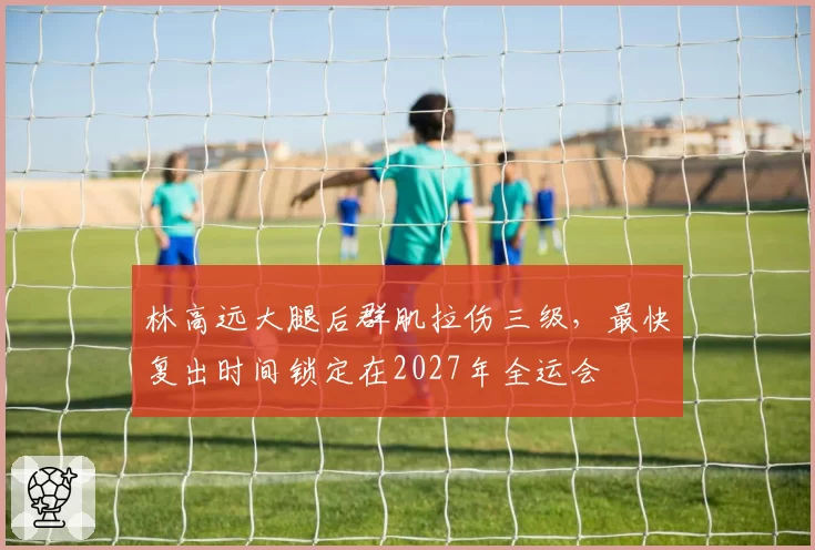 林高远大腿后群肌拉伤三级，最快复出时间锁定在2027年全运会